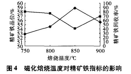 磁化焙燒溫度對(duì)精礦鐵指標(biāo)的影響