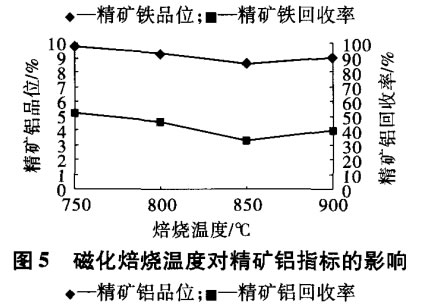 磁化焙燒溫度對(duì)精礦鋁指標(biāo)的影響